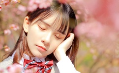 米脂婆姨剧情介绍